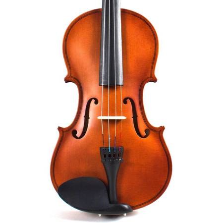 VN-300 4/4 Palatino Violin