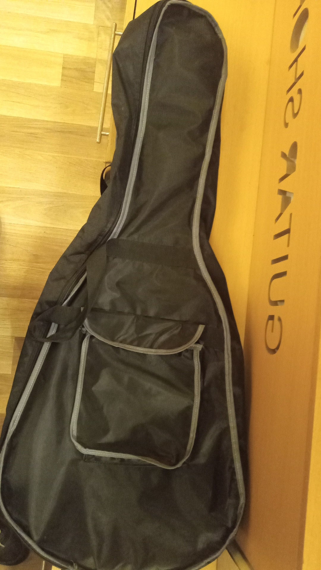 AM Special Acoustic soft case