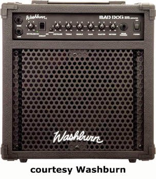 Washburn BD25R Amp