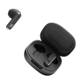 JBL Live Flex