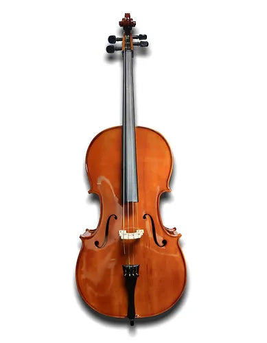 Palatino CB300 Cello