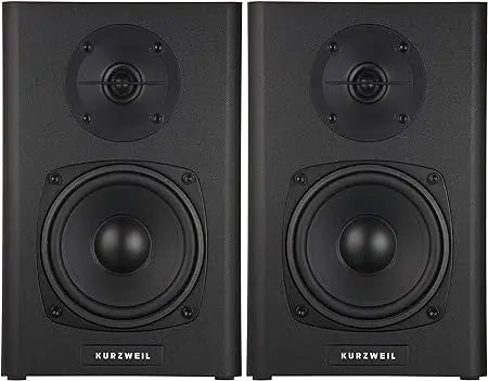 Kurzweil KS-40A Studio Monitor 4