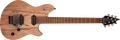 EVH WOLFGANG® WG STANDARD EXOTIC SPALTED MAPLE