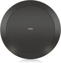 TANNOY CVS 801