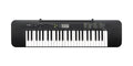 casio CTK240H2