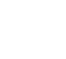 Ernie Ball