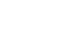 Fender