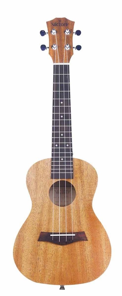 Ukulele Plugged AM