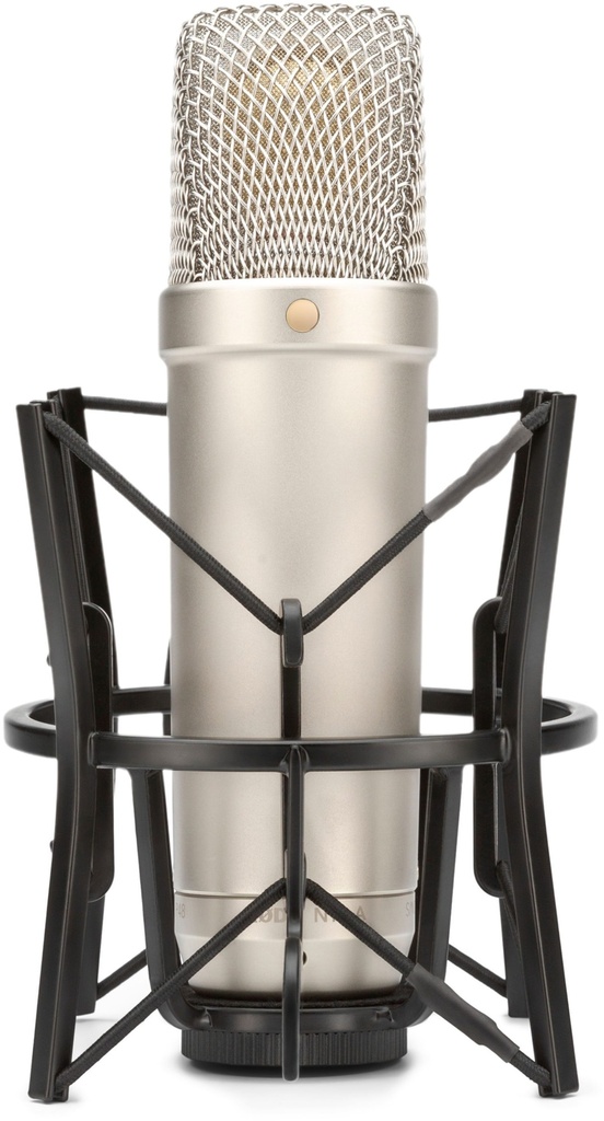 Sunheser Professional Condenser mic