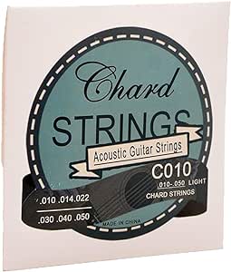 chard electric guitar strings E010