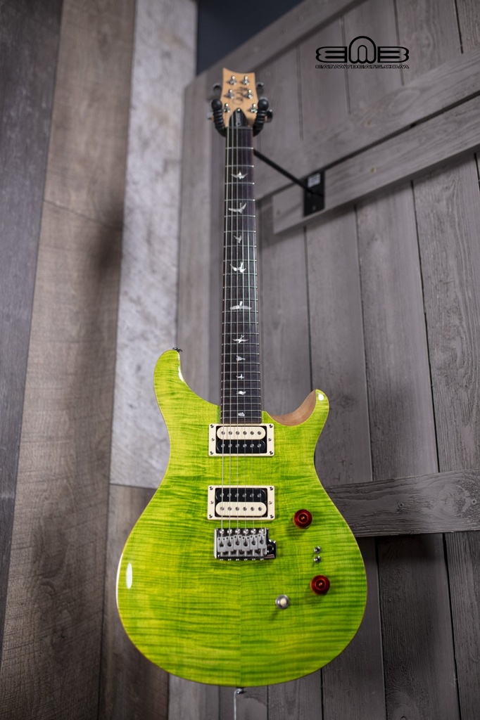 PRS SE Custom 24-08 EV Eriza Vierda C844EV Electric Guitar