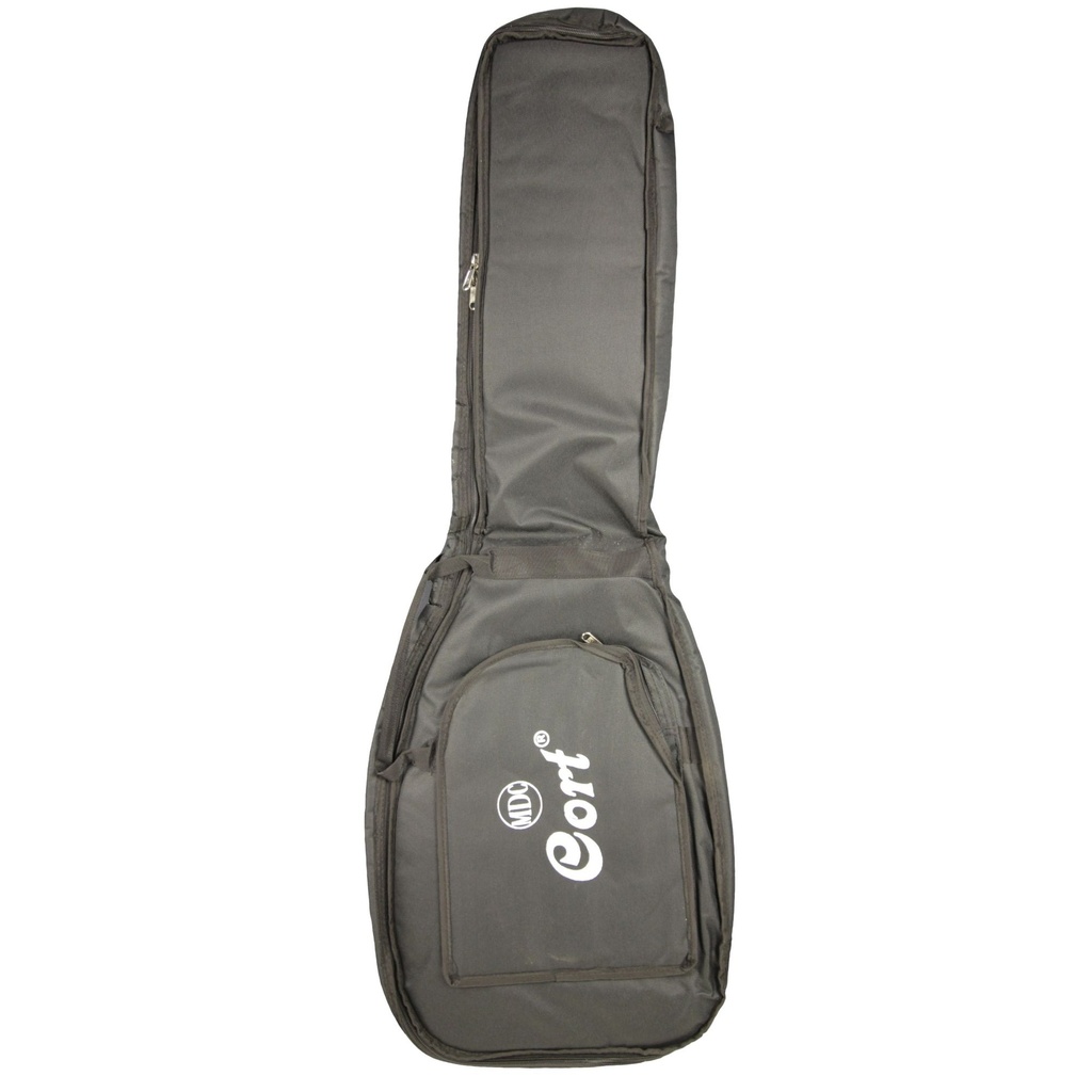 electric guitar case Cort