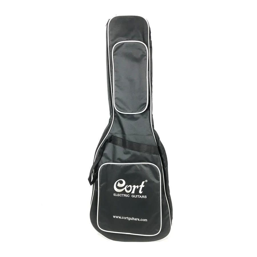  cort electric guitar case