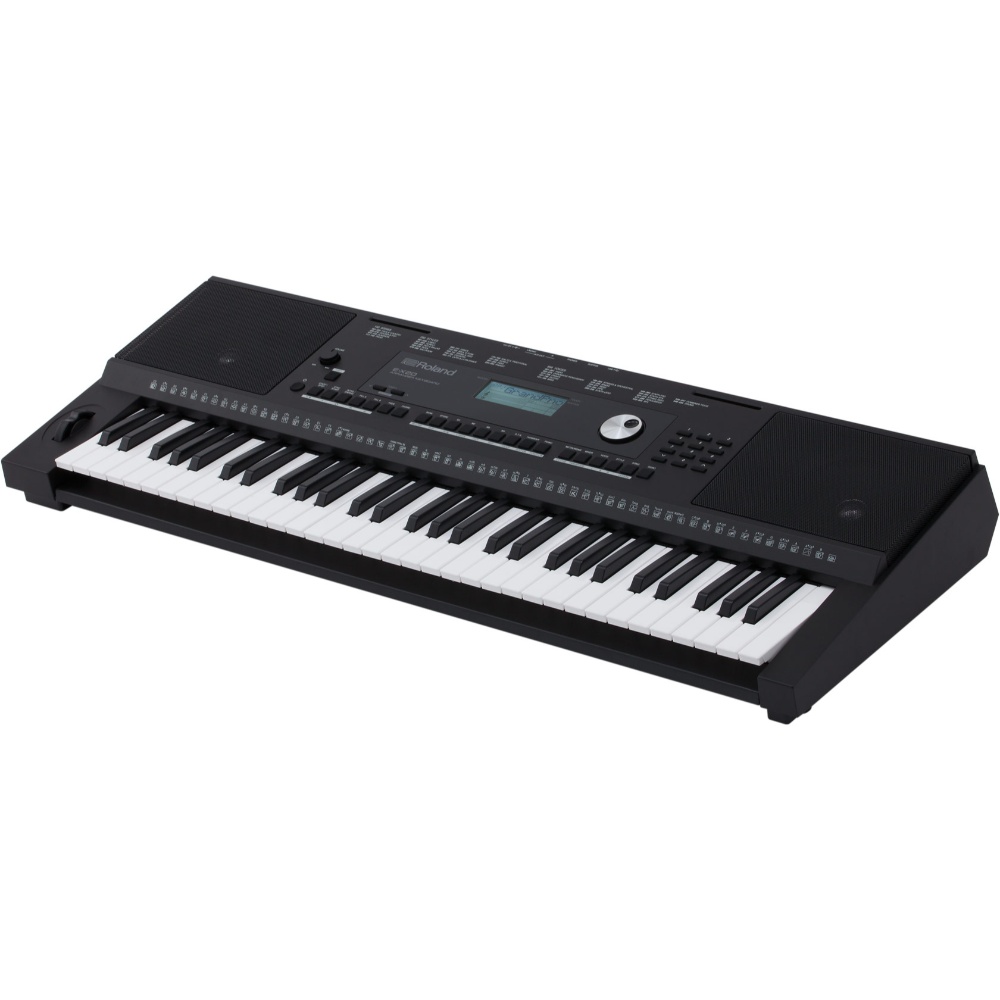 Roland 61-Keys Arranger Keyboard E-X20