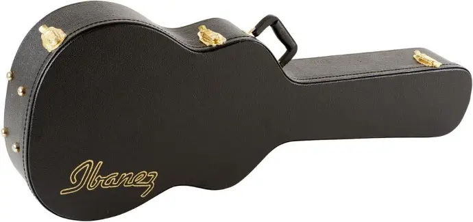  Ibanez Acoustic Hard Case NG