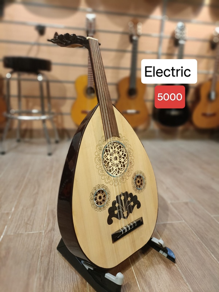 Electric Oud