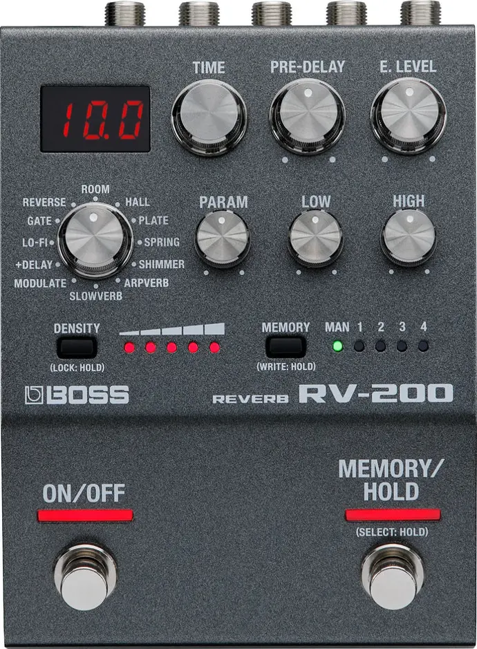 Boss RV200