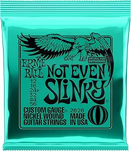 Ernie Ball NOT EVEN SLINKY