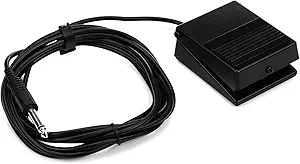 Roland DP-2
