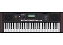 Roland EX-10