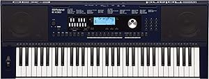 Roland E-X30