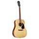 Epiphone DR100 NATURAL