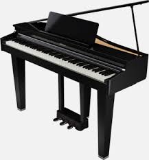 Roland GP-3-PE