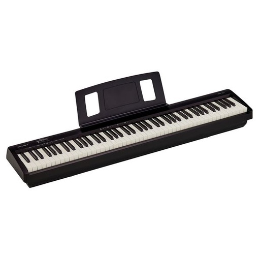 [M-Wir] Roland FP10-BK with bench
