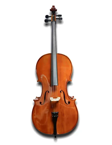 [801508228374] Palatino CB300  Cello