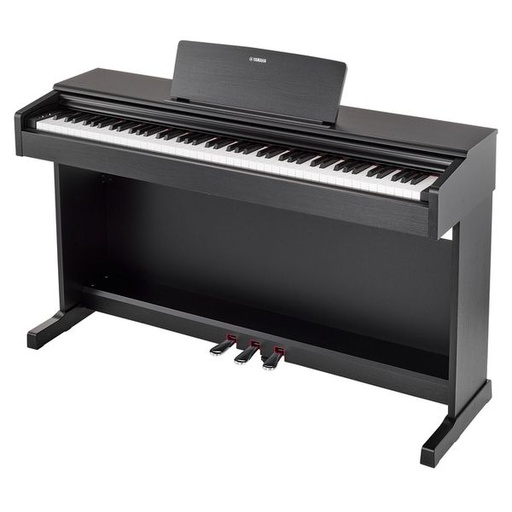 [889025140058] yamaha YDP145B