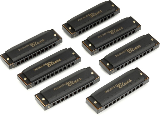 [48667321120] Hohner Piedmont Blues Harp Set 